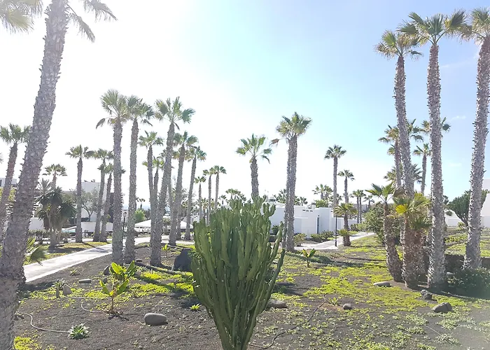 Palmeras Garden * Playa Blanca (Lanzarote)