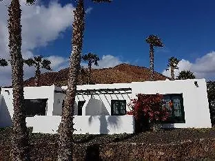 Palmeras Garden Apartment