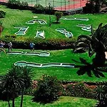 Palmeras Garden Lejlighed