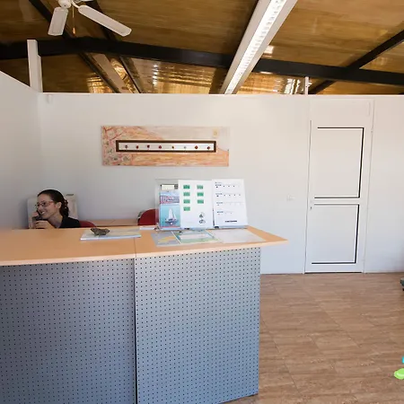 Palmeras Garden بلايا بلانكا