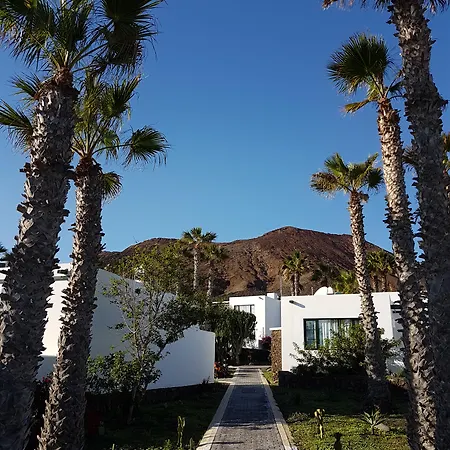 Palmeras Garden شقة