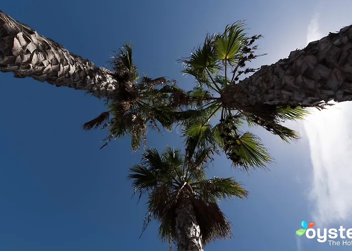 Palmeras Garden Playa Blanca (Lanzarote)