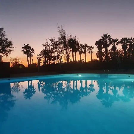 Palmeras Garden *